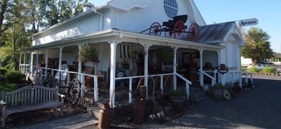 The Antique Store