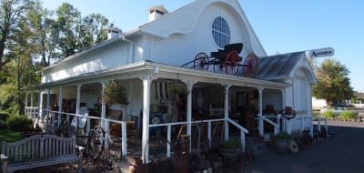 The Antique Store