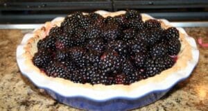 Fresh Blackberry Pie Fresh Blackberry Pie