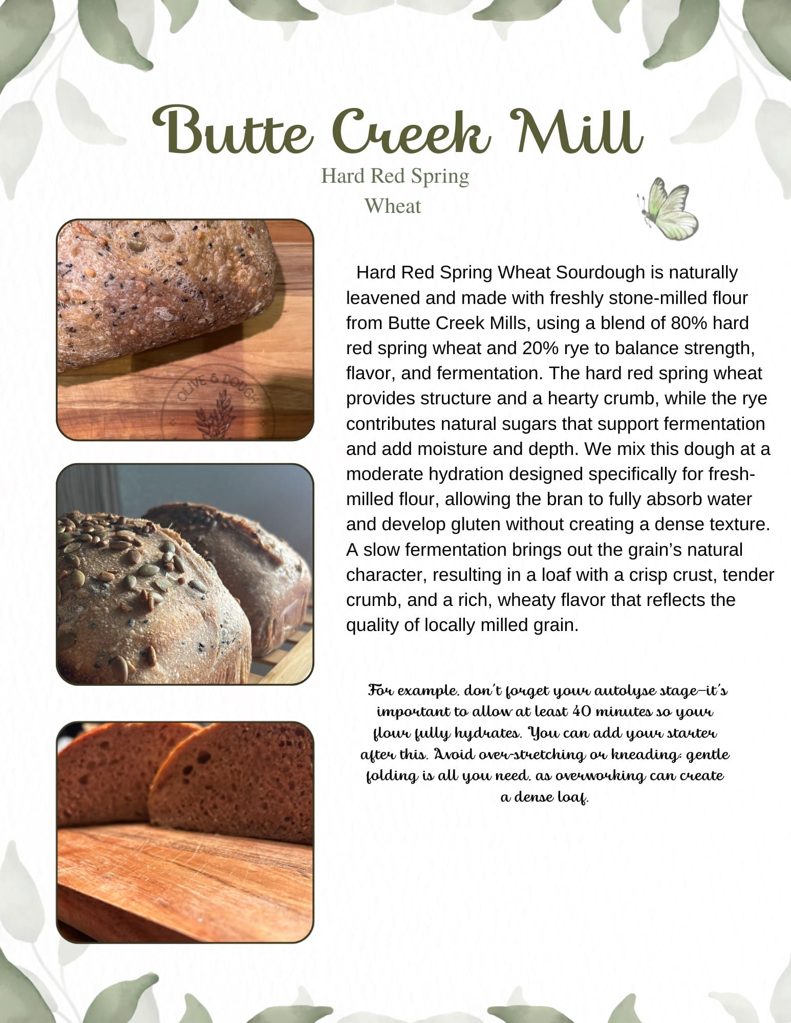 <p> Hard Red Spring Wheat Sourdough is naturally leavened and made with freshly stone-milled flour from Butte Creek Mills, using a blend of 80% hard red spring wheat and 20% rye to balance strength, flavor, and fermentation. The hard red spring wheat provides structure and a hearty crumb, while the rye contributes natural sugars that support fermentation and add moisture and depth. </p> <p> We mix this dough at a moderate hydration designed specifically for fresh-milled flour, allowing the bran to fully absorb water and develop gluten without creating a dense texture. A slow fermentation brings out the grain’s natural character, resulting in a loaf with a crisp crust, tender crumb, and a rich, wheaty flavor that reflects the quality of locally milled grain. </p> <blockquote> <p> For example, don’t forget your autolyse stage — it’s important to allow at least 40 minutes so your flour fully hydrates. You can add your starter after this. Avoid over-stretching or kneading; gentle folding is all you need, as overworking can create a dense loaf. </p> </blockquote>