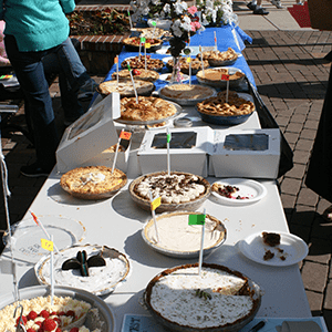 All of the lovely pies! 