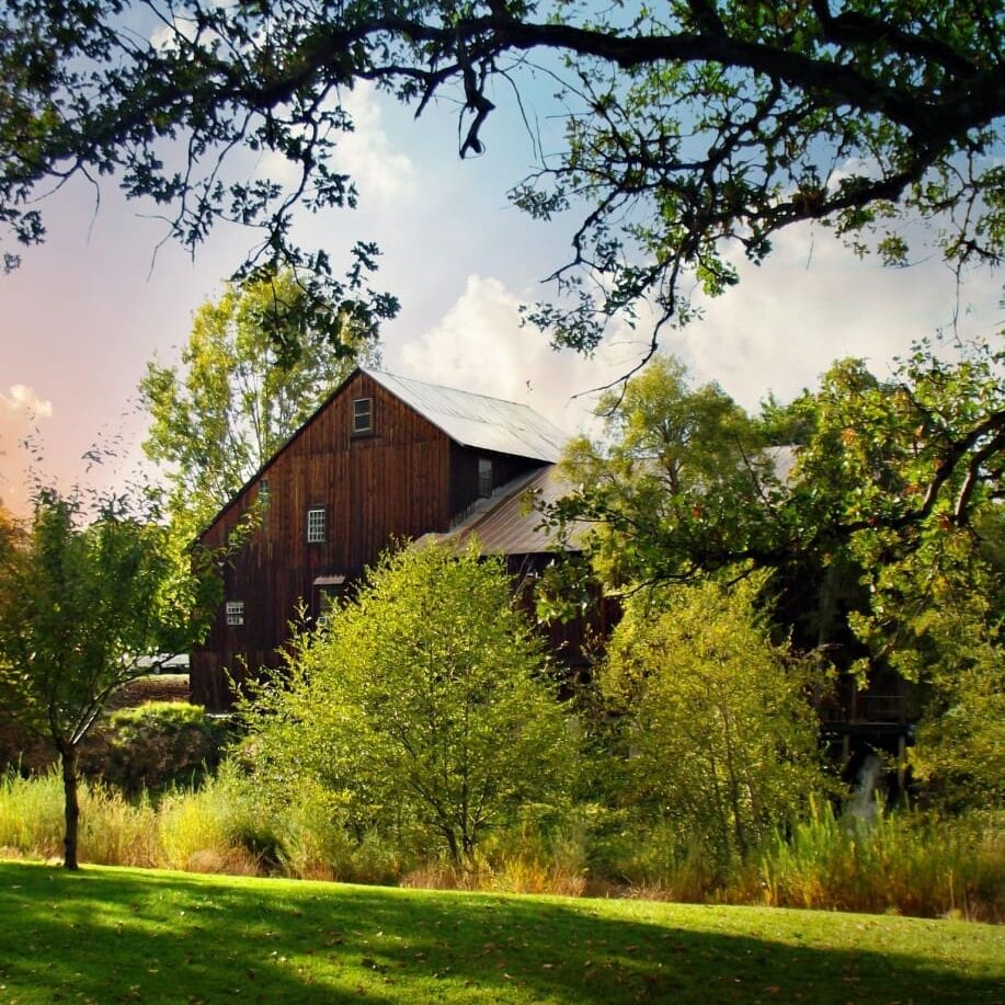 A beautiful day at The Mill
